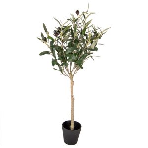 Pianta ulivo Clayre & Eef H.70cm