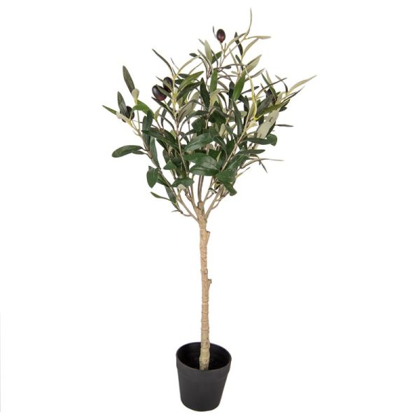 Pianta ulivo Clayre & Eef H.70cm