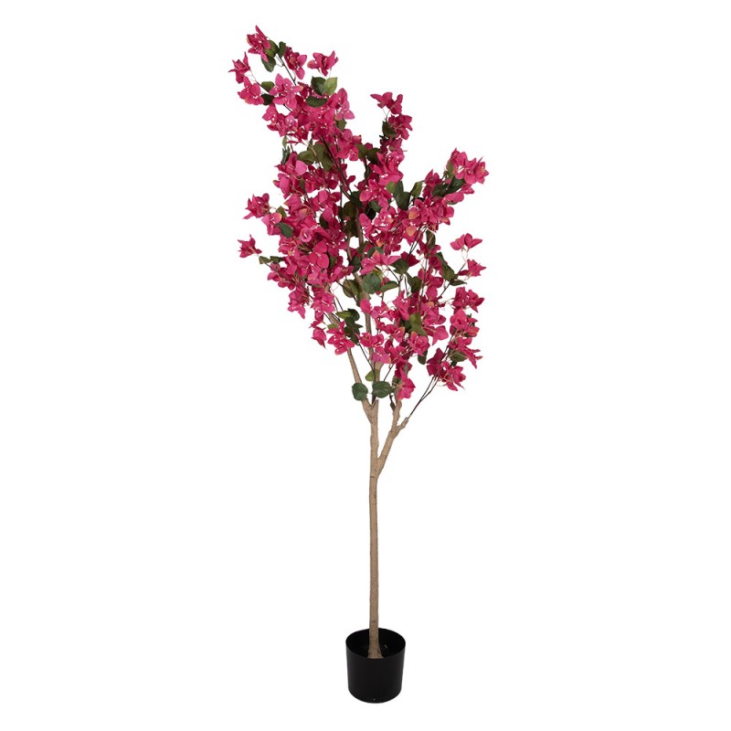 Pianta Bougainvillea Artificiale 40x40x180 cm cm Clayre & Eef