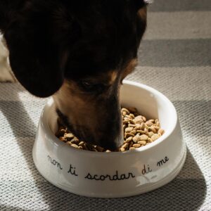 Ciotola per animali Non ti scordar di me - L Simple Day
