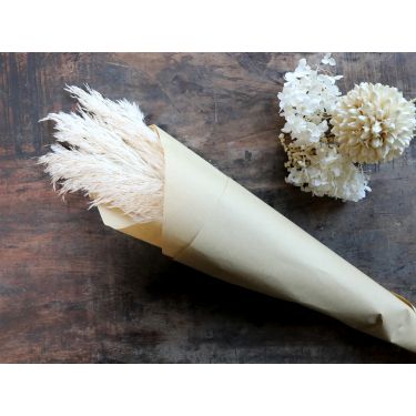 Pampas essiccata Fleur Chic Antique crema H75 cm - 6 steli
