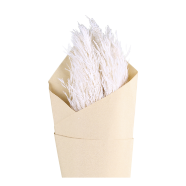 Pampas essiccata Fleur Chic Antique crema H75 cm - 6 steli - immagine 2