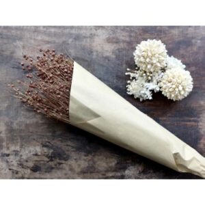 Lino essiccato Fleur Chic Antique tortora H61 cm